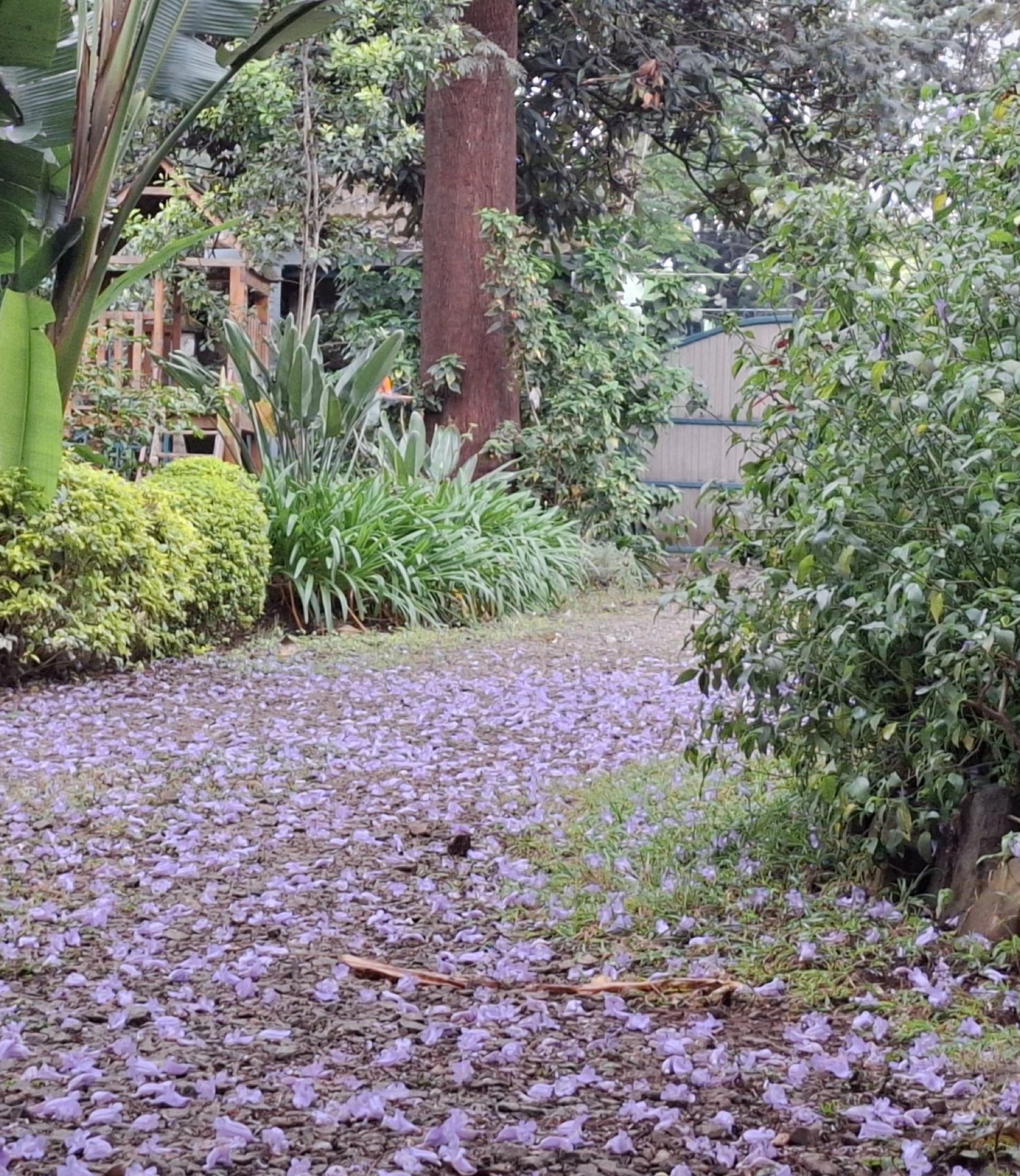 Spaziergeh-Garten-Gottesdienst zu Palmsonntag
